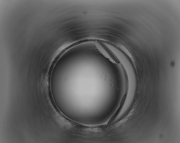 X0000094781133200711241333