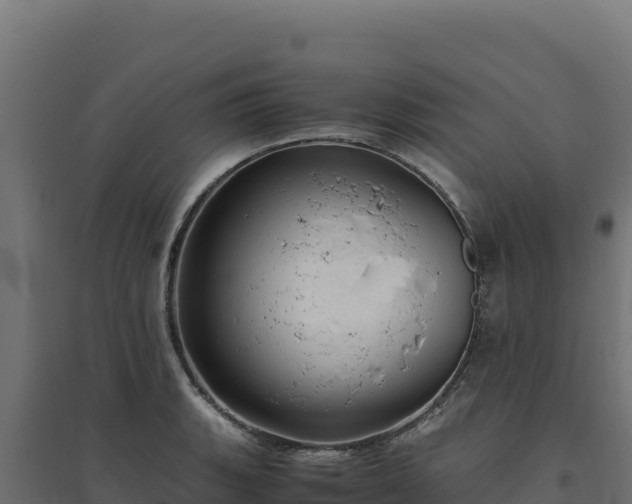 X0000094781135200711241333
