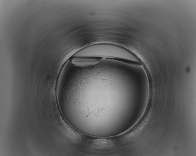 X0000094781137200711241333