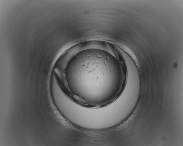 X0000094781138200711241333