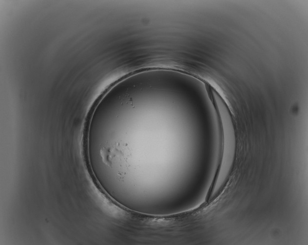 X0000094781139200711241333