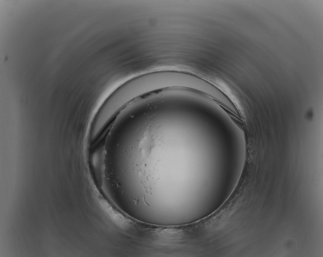 X0000094781140200711241333