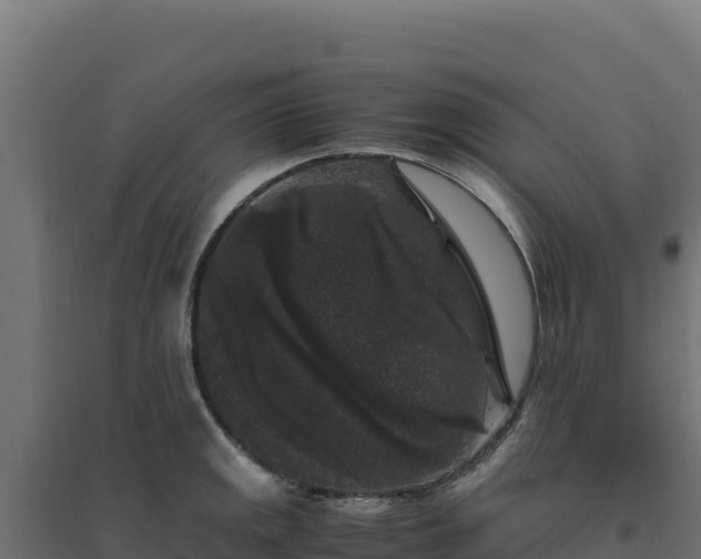 X0000094781141200711241333
