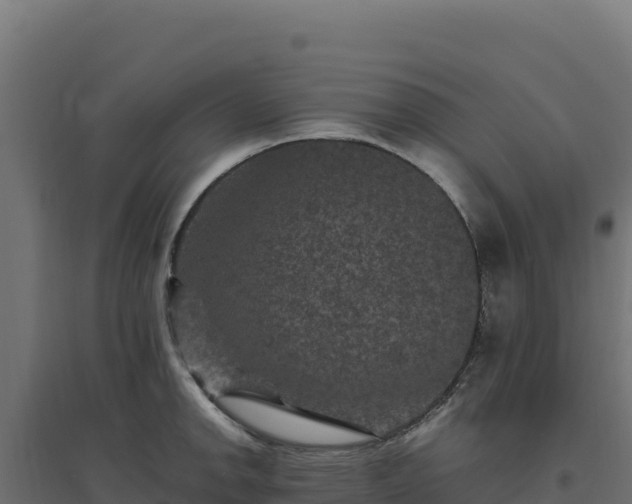 X0000094781142200711241333