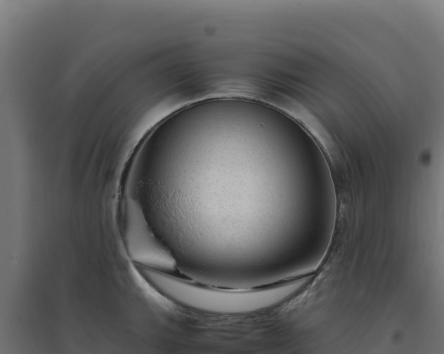 X0000094781143200711241333