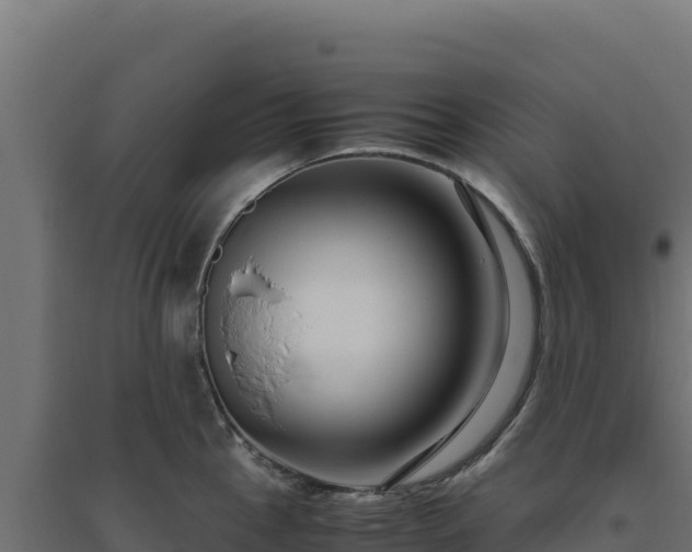 X0000094781145200711241333