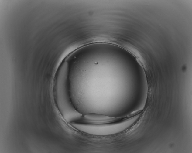 X0000094781146200711241333
