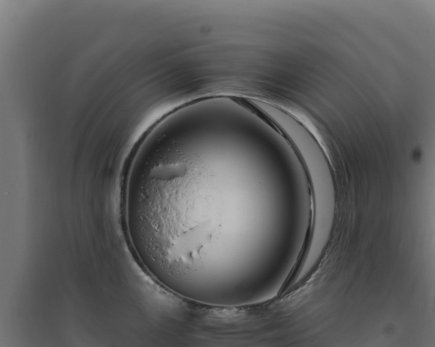 X0000094781147200711241333