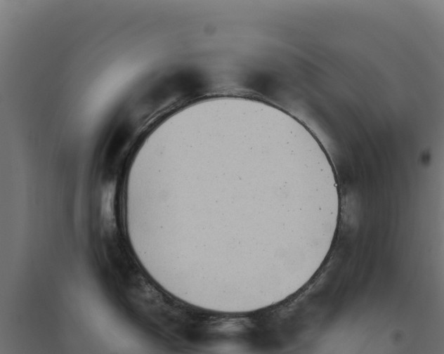 X0000094781150200711241333