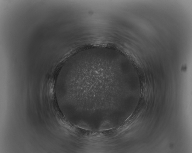 X0000094781154200711241333