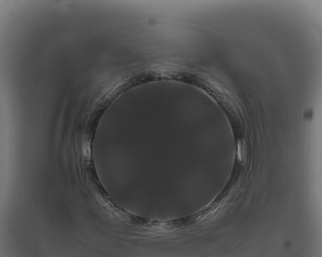 X0000094781155200711241333
