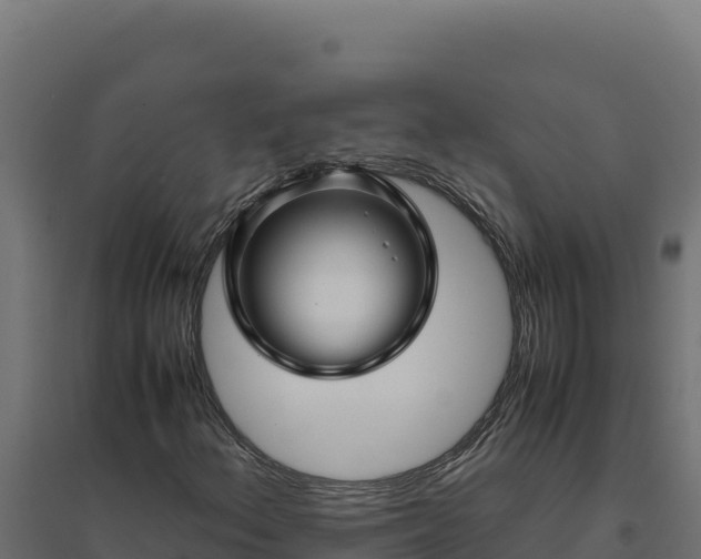 X0000094781156200711241333