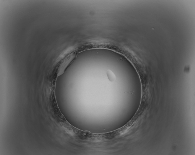 X0000094781157200711241333