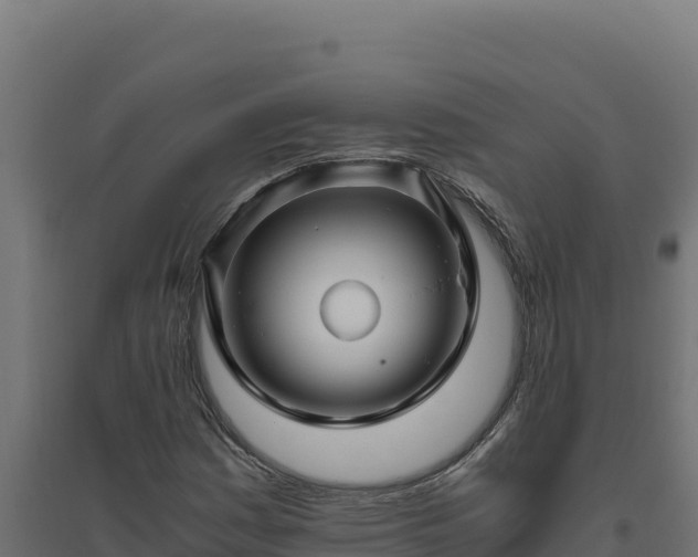 X0000094781161200711241333