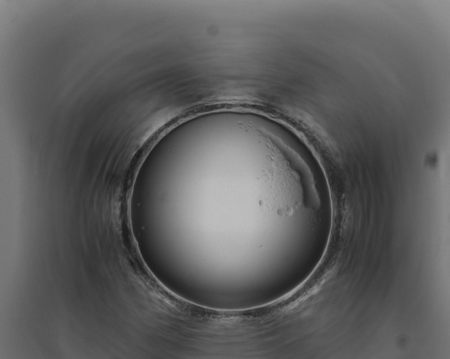 X0000094781162200711241332