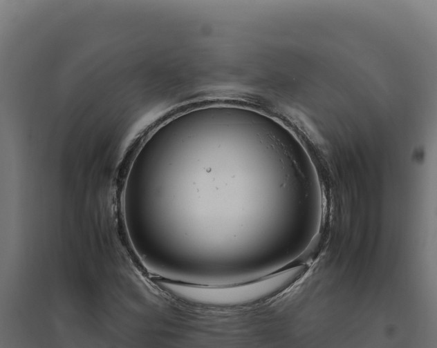 X0000094781164200711241332