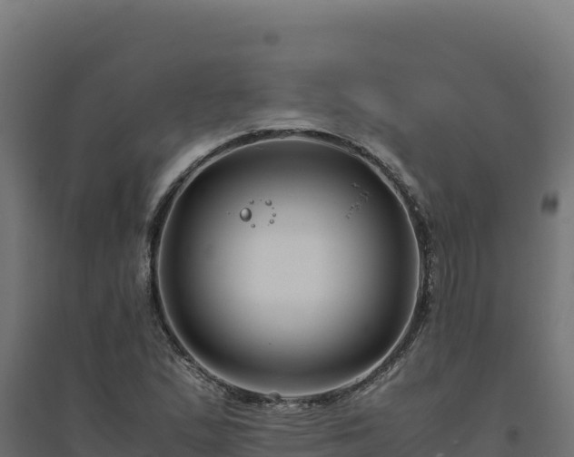 X0000094781167200711241332