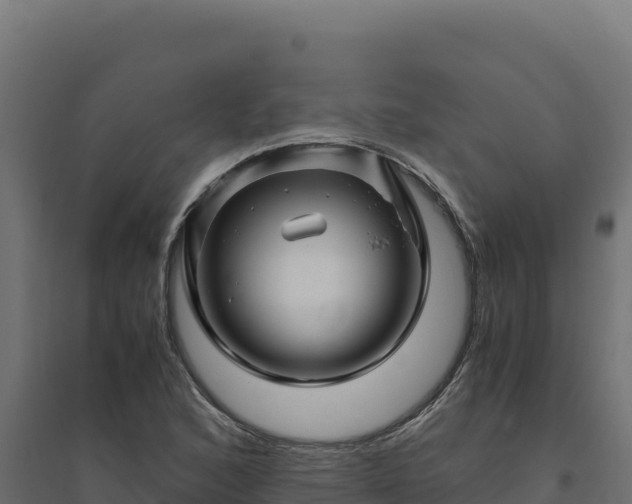 X0000094781168200711241332