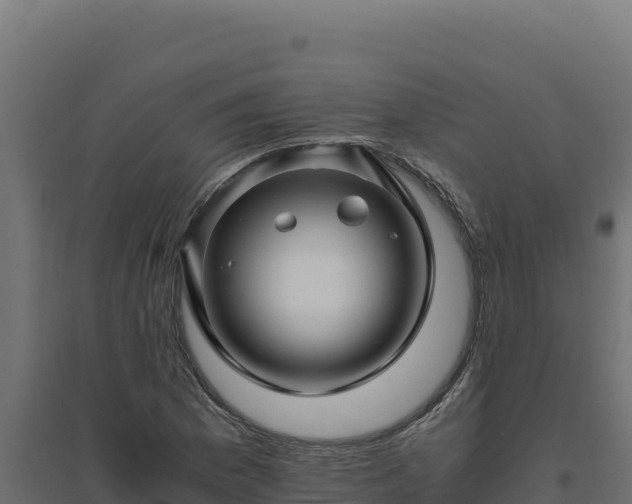 X0000094781169200711241332