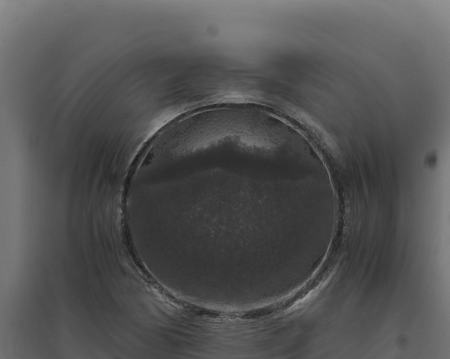 X0000094781170200711241332