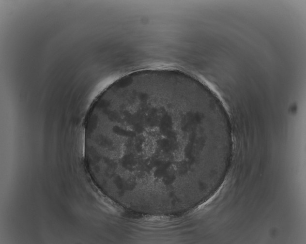 X0000094781171200711241332