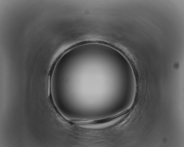 X0000094781175200711241332