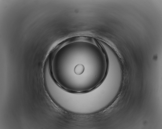 X0000094781176200711241332