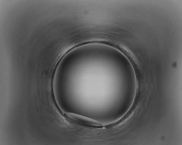 X0000094781177200711241332