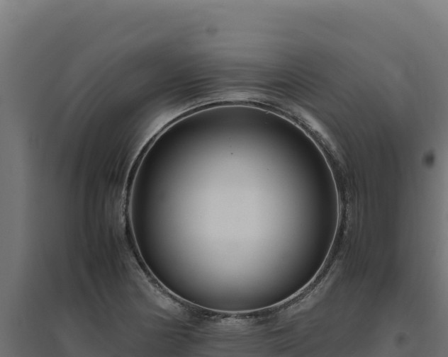 X0000094781178200711241332
