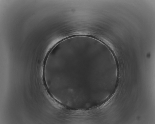 X0000094781179200711241332