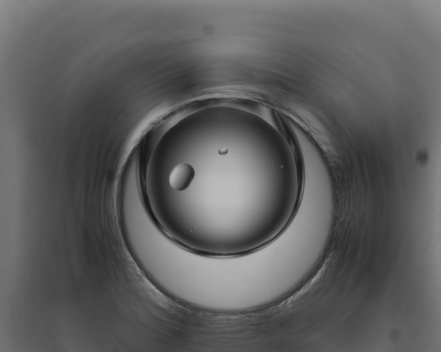X0000094781180200711241332