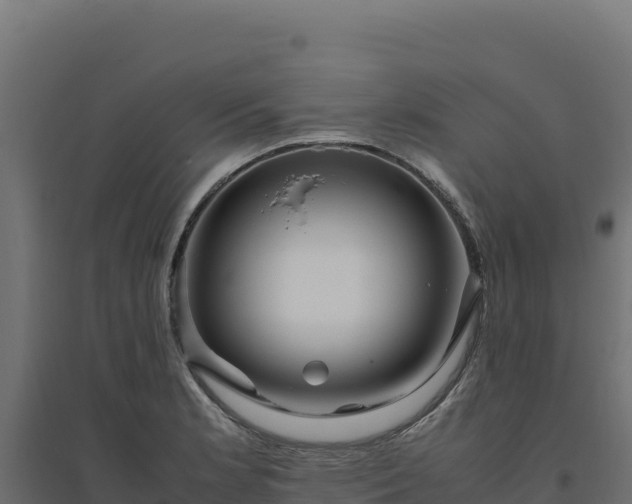 X0000094781181200711241332
