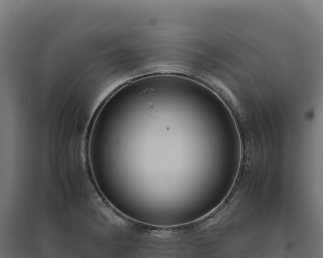 X0000094781182200711241332