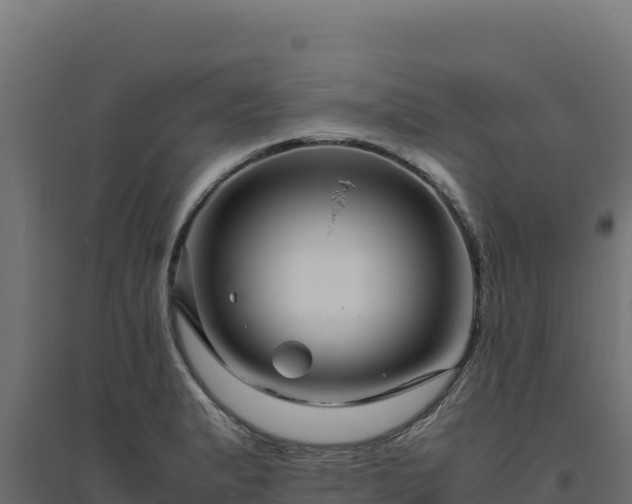 X0000094781183200711241332