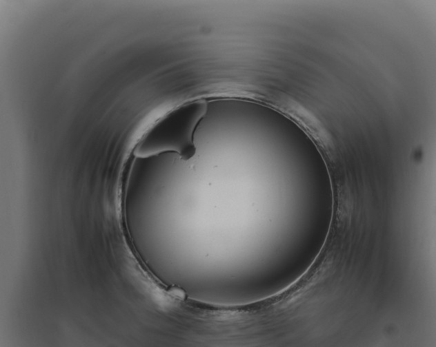 X0000094781188200711241332