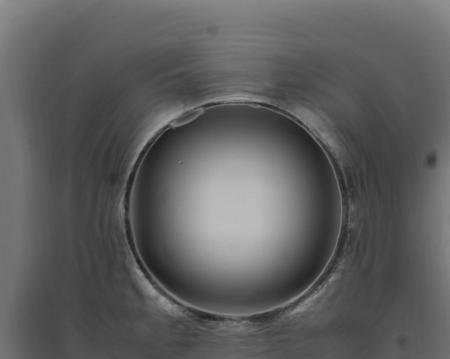 X0000094781189200711241332