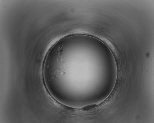 X0000094781191200711241332