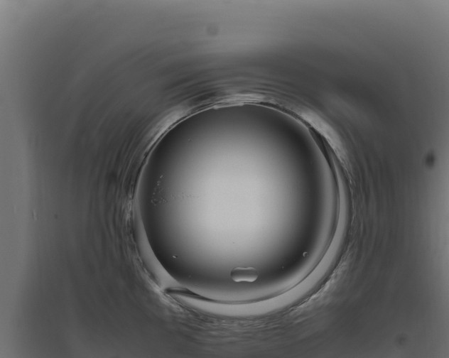 X0000094781193200711241332