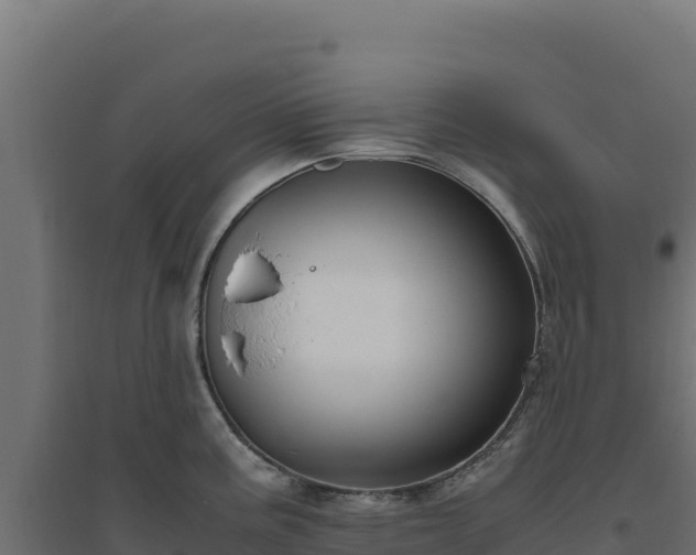 X0000094781195200711241332