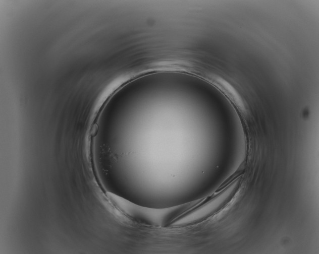X0000094781196200711241332