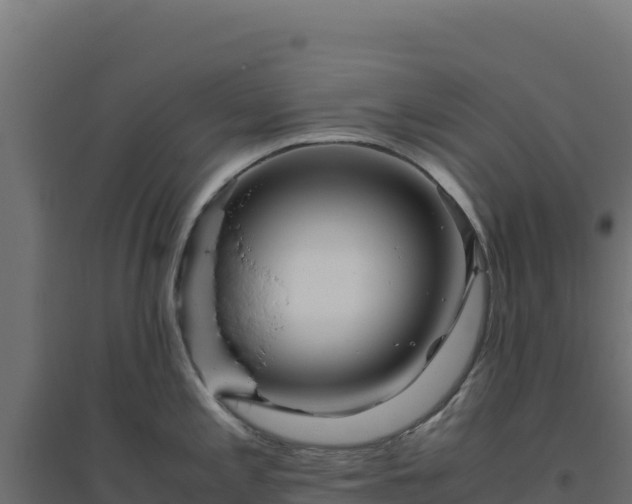 X0000094781197200711241332