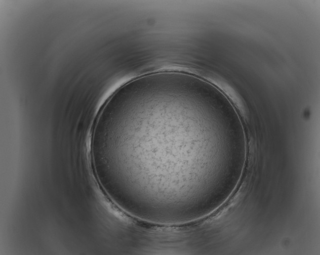 X0000094781198200711241332
