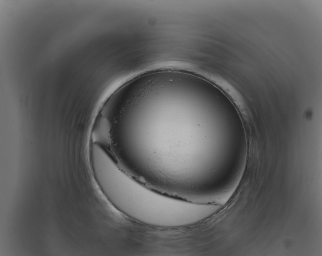 X0000094781199200711241332