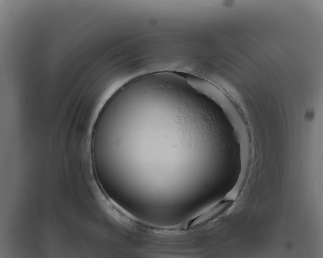 X0000094781200200711241332
