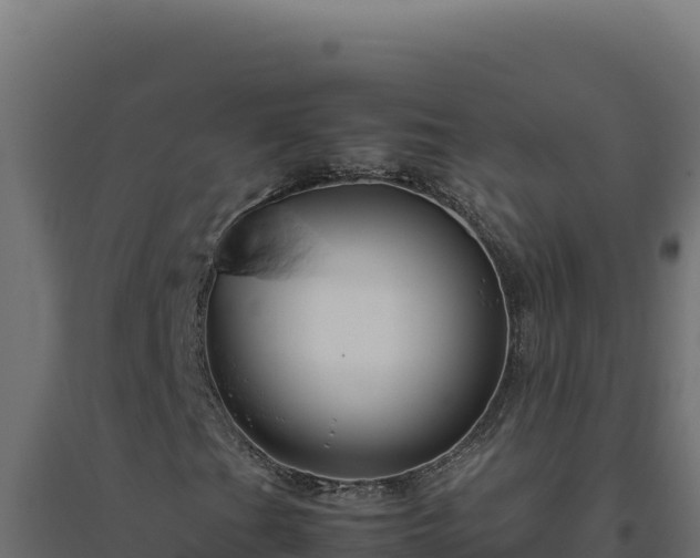 X0000094781201200711241331