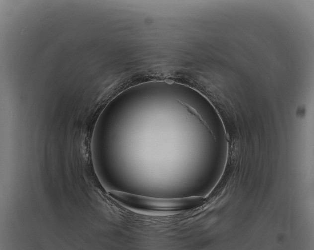 X0000094781202200711241331