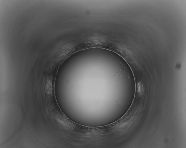 X0000094781203200711241331