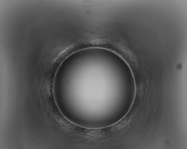X0000094781205200711241331