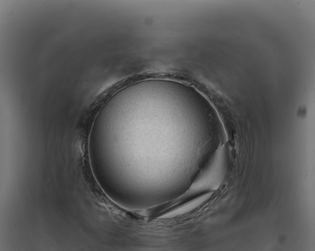 X0000094781206200711241331