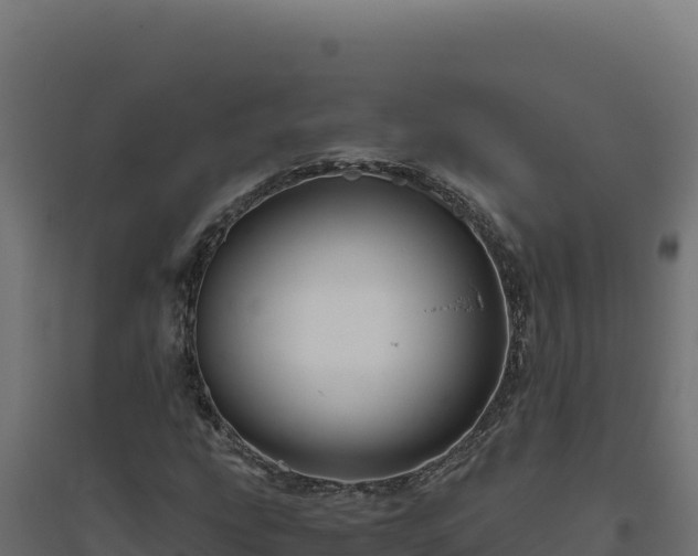 X0000094781207200711241331